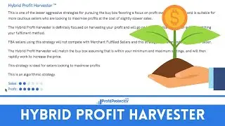 Maximise Your Online Arbitrage Profit Using This PPP Repricing Strategy - Hybrid Profit Harvester