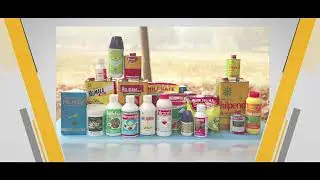 An Overview of HIL (India) Limited