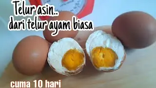 Resep telur asin dengan telur ayam biasa cuma 10 hari