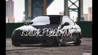 RUNA POLONYNA