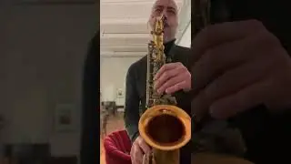 Melodic expression 🎶 on the alto #saxophone #music for the heart & soul #selmer #vandoren