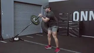 Landmine Row To Press