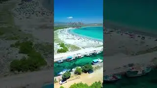 PortoPino