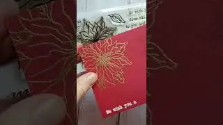 Love the Christmas Poinsettia stamp set from Sweet n Sassy Stamps