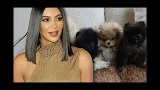 Kim Kardashian&rsquo;s Kids Name the Family&rsquo;s Newest Members &ndash; You Won&rsquo;t Believe What They Chose!