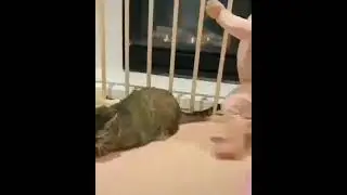 Teach kids to respect animals, not hurt them #shorts