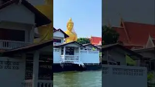 The best thing to do in Bangkok! #travel #thailand #bangkok #bigbuddha