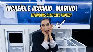 Un acuario marino increíble 😱, Seadreams Blue Cave Proyect 🤯