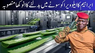 Ibrahim&rsquo;s Unique Plan to Turn Aloe Vera Into Gold | Aloe Vera Business in Pakistan | Full Report
