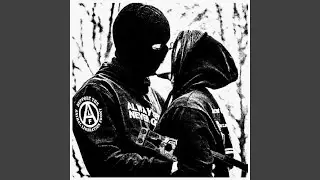 Animal Liberation Now