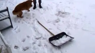 Skrolly im Schnee