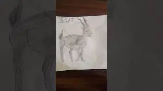 drawing of goat #art#short