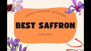 Heray Saffron Just Harvested in Herat Afghanistan,  Discover the Finest Saffron Experience