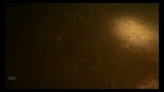 Beneath the Surface: Lake Vaaksinj&auml;rvi, R&ouml;ykk&auml;, Finland - Scuba Diving - Laitesukellus