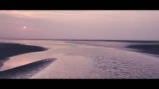 De Wereld van het WAD - het getij (PO)