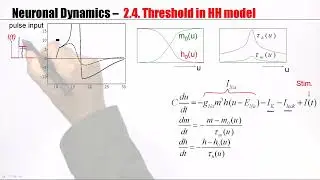 CNS2.4 - Threshold in the Hodgkin Huxley Model