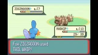 Pokemon Ruby Walkthrough Part 3: Route 104 & Petalburg Woods (1/2)