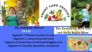 Audio - S9E18 Flowers to plant in July, natural ground cover, frontyardveggies.com - Garden radio
