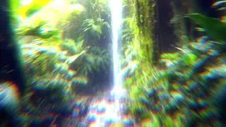 Shatt3rium - Daydreamer [Colour Bass]