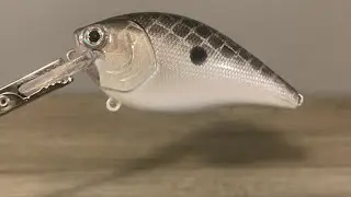 Beginner, shad pattern