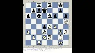 Dreev, Alexey vs Kasimdzhanov, Rustam | Dordrecht Chess 5' 2004, Netherlands