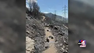 Fire Watch: Buckley Draw Fire, Monroe Canyon Fire, Willard Peak Fire