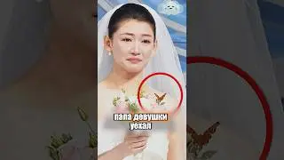 Отец пришел к дочери в образе бабочки 🦋🥹 #милыеживотные #животные