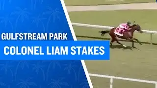 2025 $215,000 Colonel Liam Stakes at Gulfstream Park