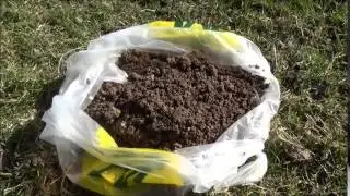 How to set a Duffus Mole Trap