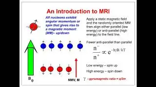 RF Aspects of Magnetic Resonance Imaging