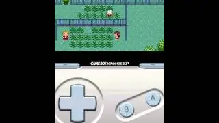 Pokemon Emerald Shiny Pokemon Code