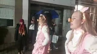 Le Carnaval de Renaix- Ronse Belgique