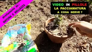 LA PACCIAMATURA, cos'è e a cosa serve