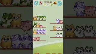 Cat Sort Puzzle 12 - Gameplay Walkthrough (iOS & Android) #shorts