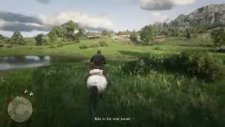 Helping a Photographer Capture Wild Horses | RDR2 &ndash; Wildlife Art Exhibition