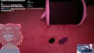 vtuber gentle ASMR 💤 live