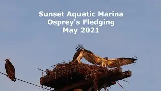 Sunset Aquatic Marina, May 2021