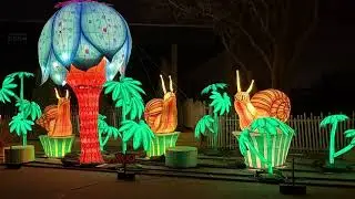 Sedgwick country zoo wiled lights 2025