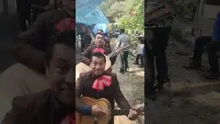 mariachi la luz divina contactos al 919 147 0685 agradecimiento dolores pantelo