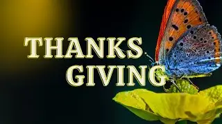 THANKSGIVING