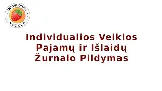 Individualios Veiklos Apskaitos Žurnalo Pildymas nuo A iki Z