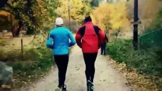 Grimsta skogen en fin h&ouml;stdag.