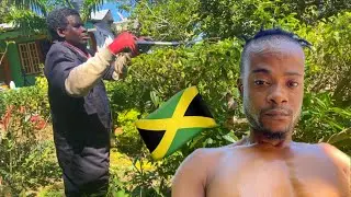GETTING MY YARD CLEAN UP FEEDING MY ANIMALS