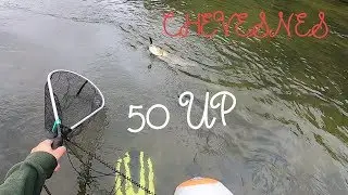 Descente de rapides en float et chevesnes &eacute;normes