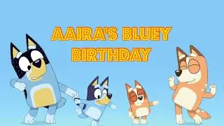 Aaira's Bluey Birthday Party  | Vlog #8 | Desi Nordic Life | 