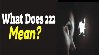 Meaning Of 222 In Numerology - Why Do You Keep Seeing 222? | Angel Number 222 Meaning