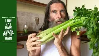 Low Fat Raw Vegan Weight Gain: Recent Observations