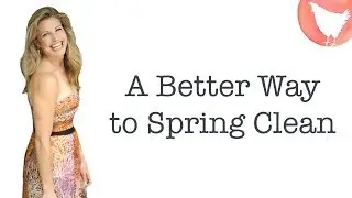 Eco Friendly Cleaning on a Budget