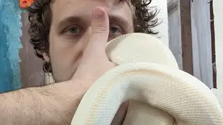 Time to Rate 5 Reptile Rules of Thumb!