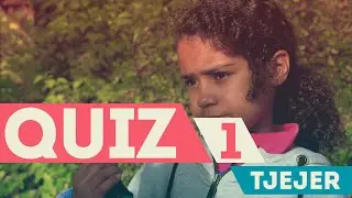 Quiz om serien Tjejer del 1